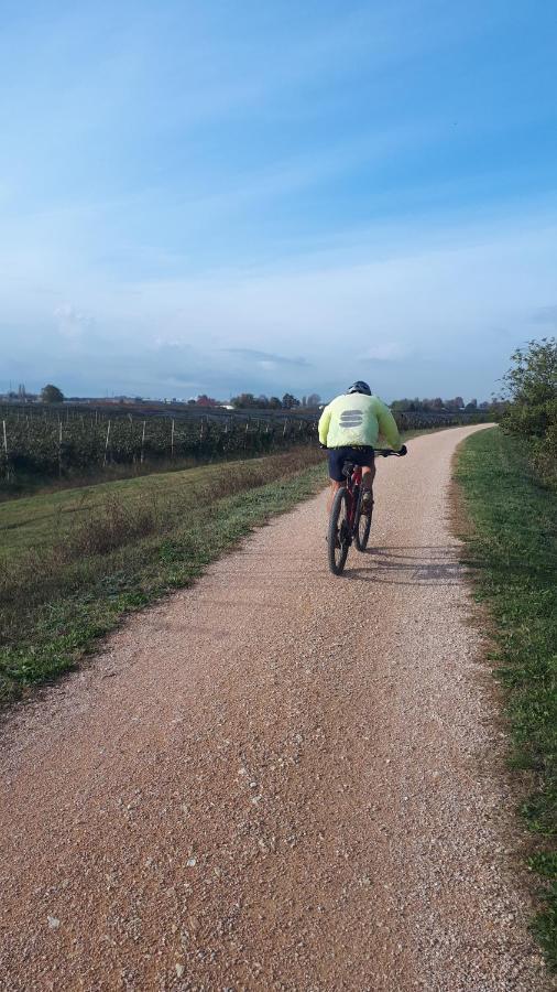 Sulla Ciclabile Apartment Lungo Il Fiume Adige Zevio Buitenkant foto