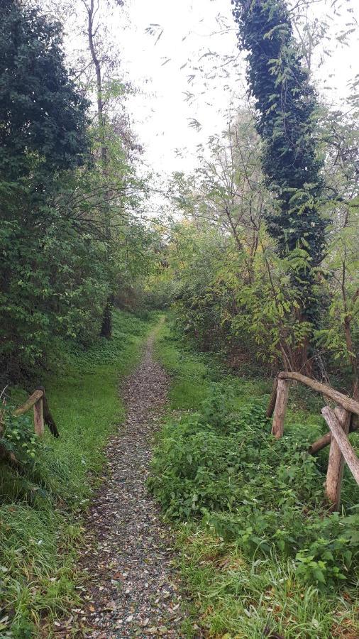 Sulla Ciclabile Apartment Lungo Il Fiume Adige Zevio Buitenkant foto