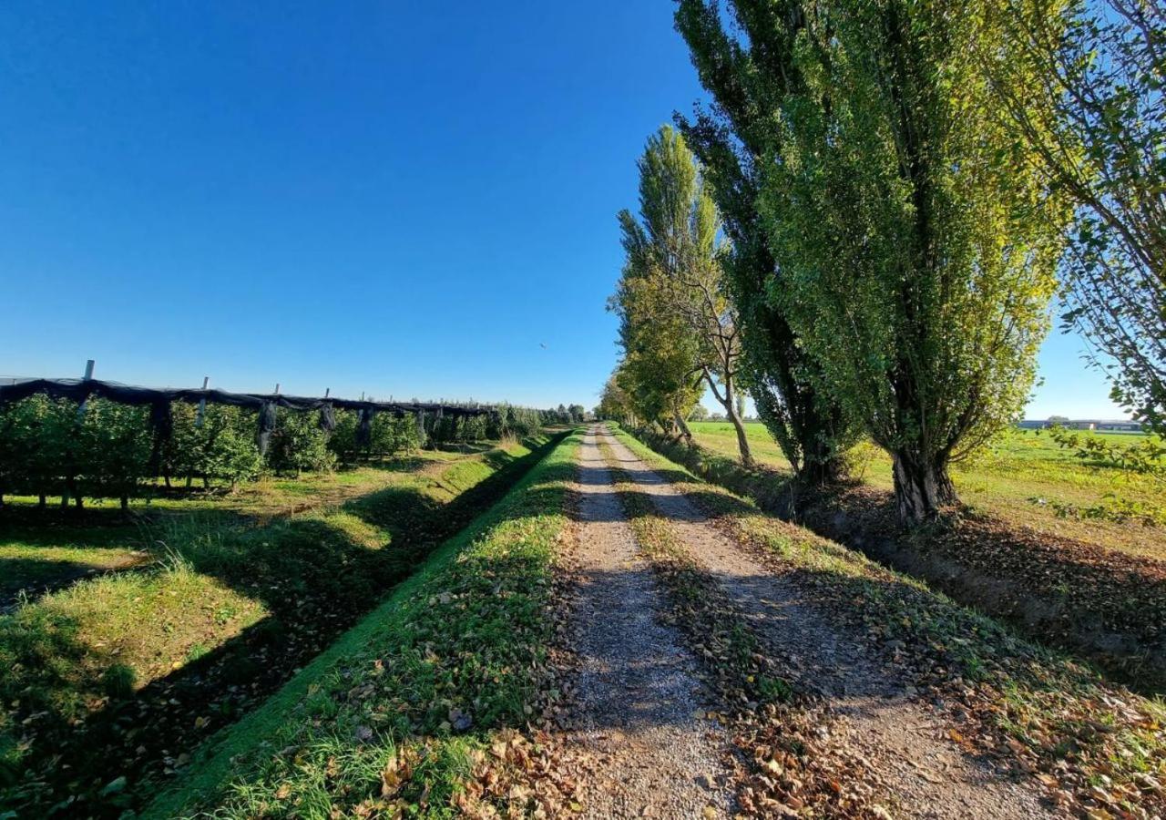 Sulla Ciclabile Apartment Lungo Il Fiume Adige Zevio Buitenkant foto