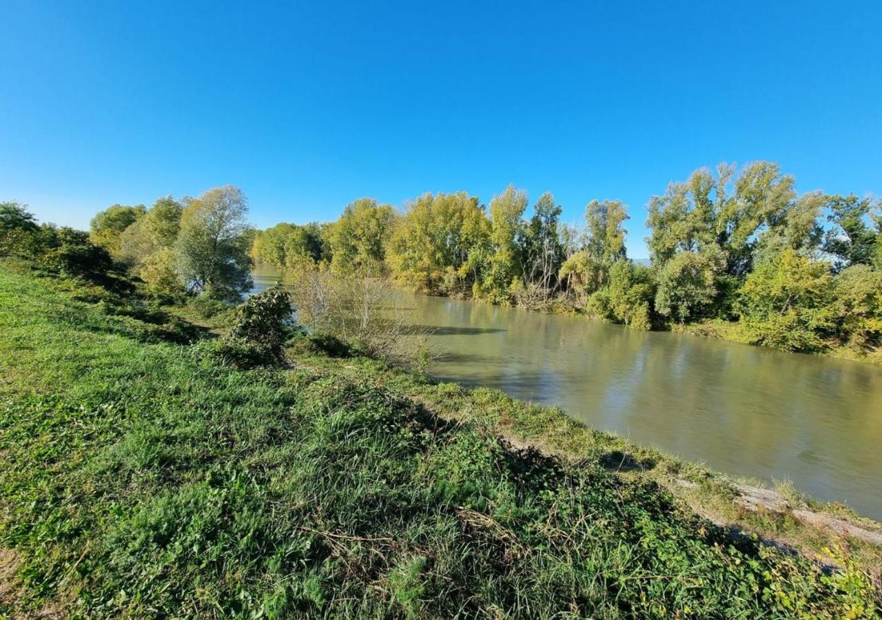 Sulla Ciclabile Apartment Lungo Il Fiume Adige Zevio Buitenkant foto