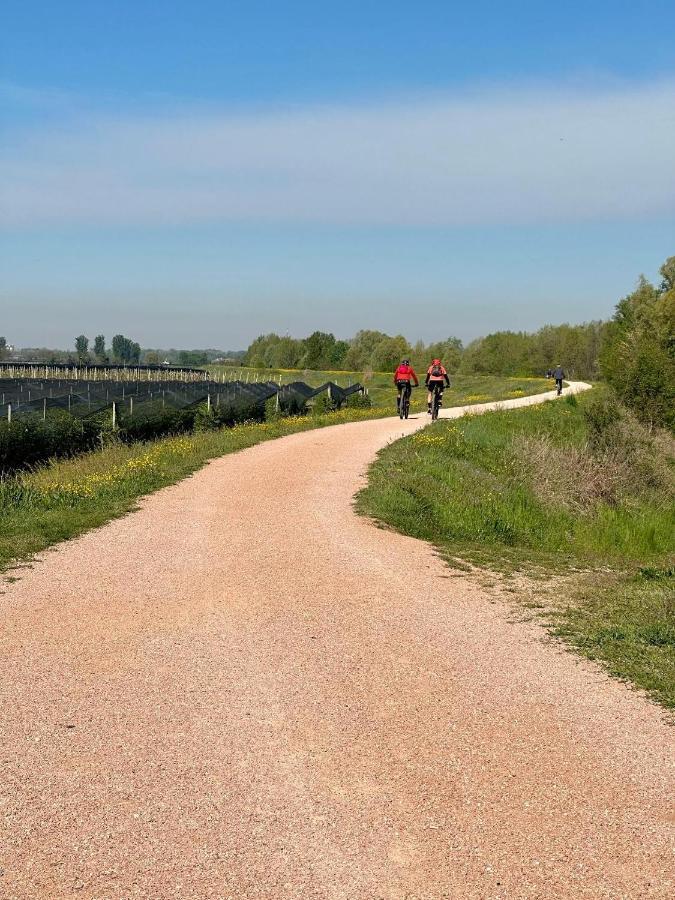 Sulla Ciclabile Apartment Lungo Il Fiume Adige Zevio Buitenkant foto